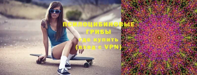 Псилоцибиновые грибы мухоморы  Шумерля 